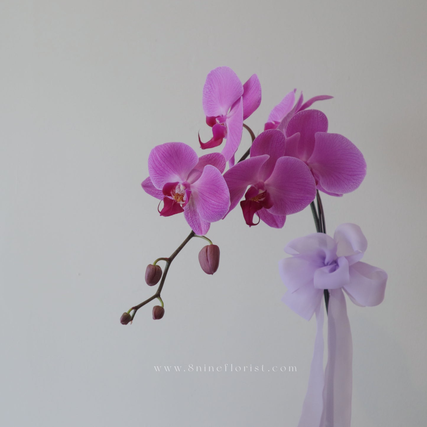 紫福迎春 Fresh Flower Arrangement