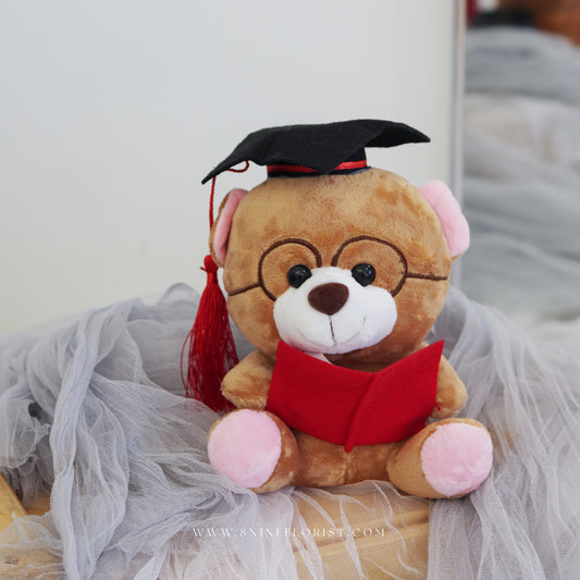 Graduation Bear I