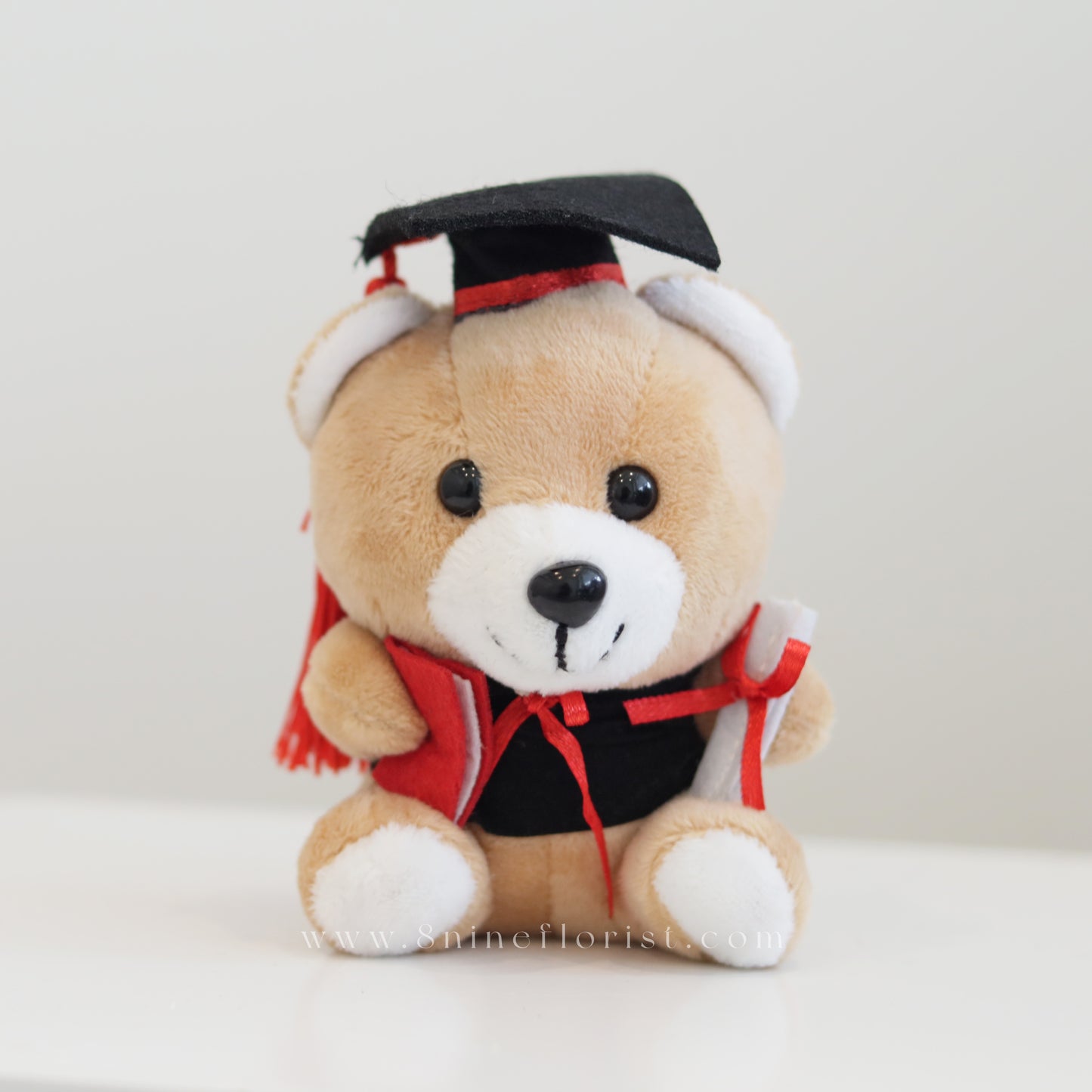 Graduation Teddy Bear Small