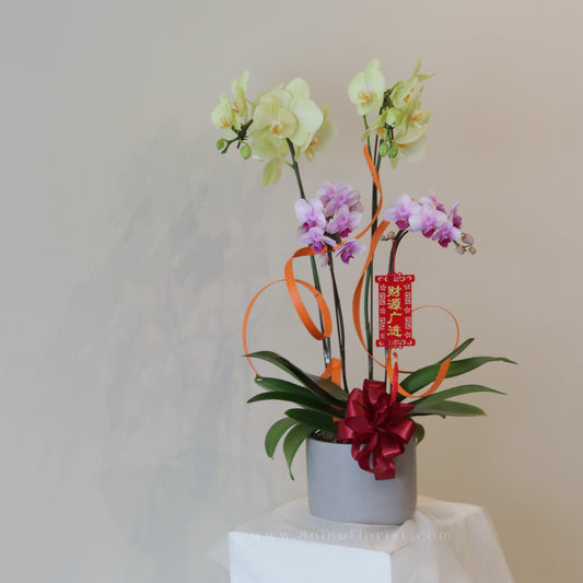 双喜临门 Fresh Flower Arrangement