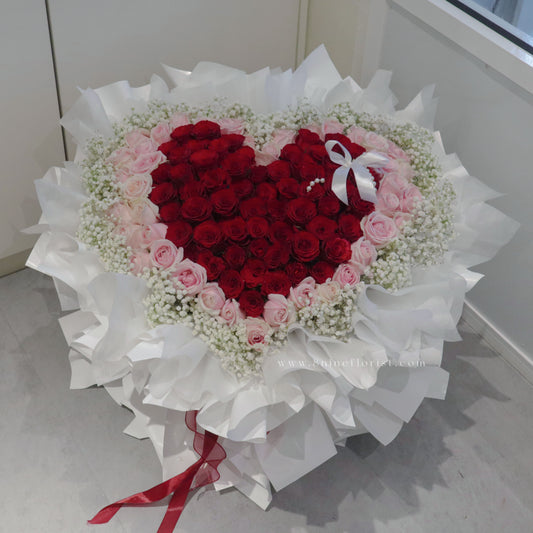 100 roses Aviana