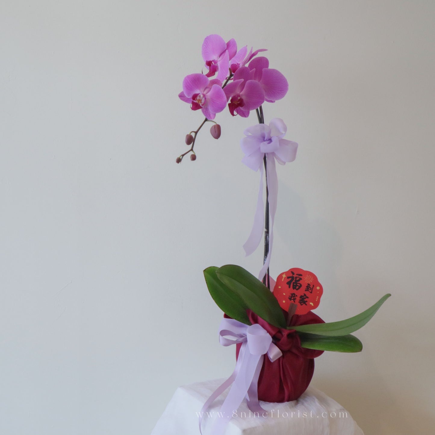 紫福迎春 Fresh Flower Arrangement